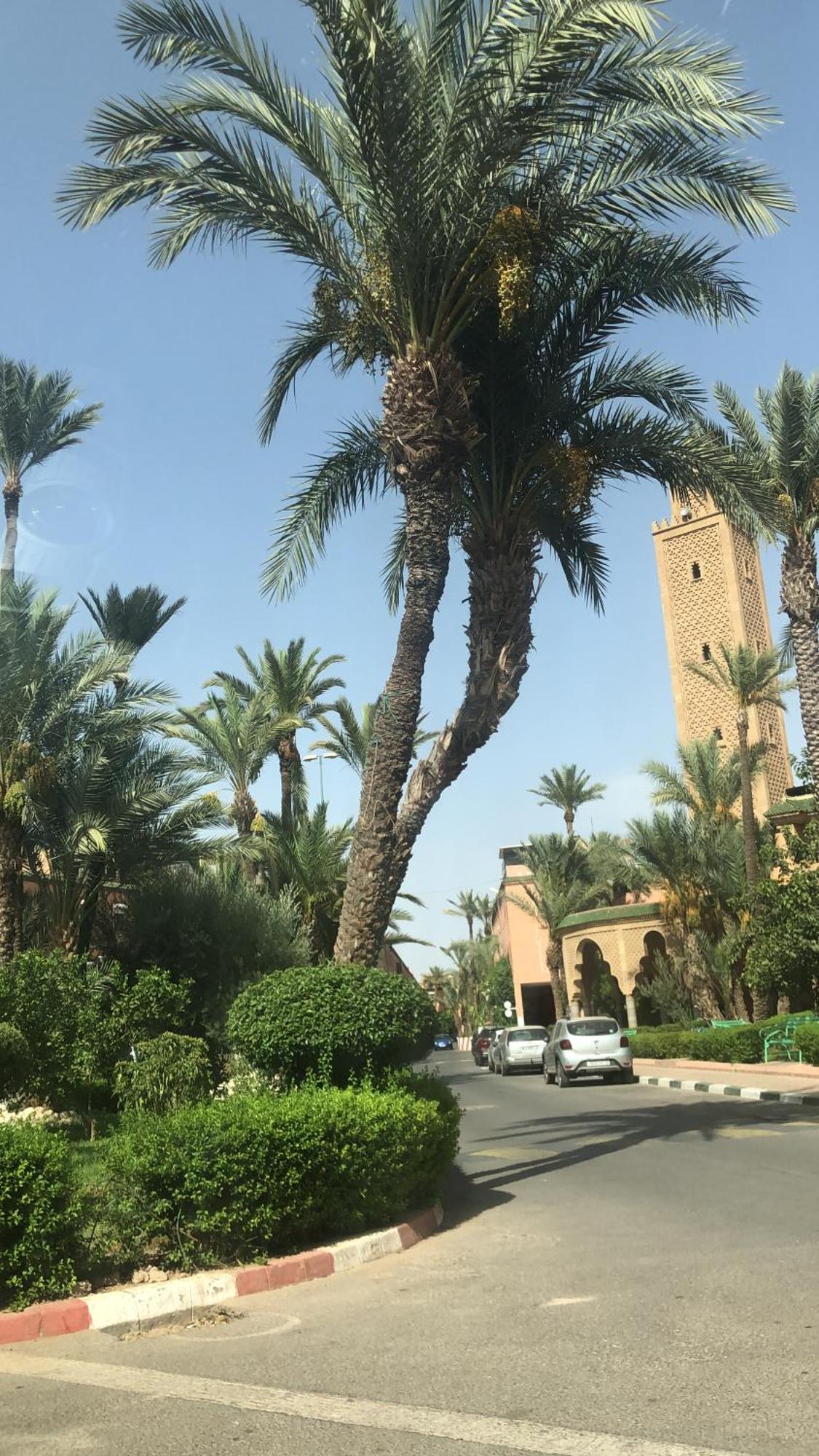 Riad Lyna Marrakesch Exterior foto